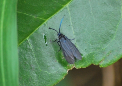 f:id:shinsyu7:20110803131800j:image:w640