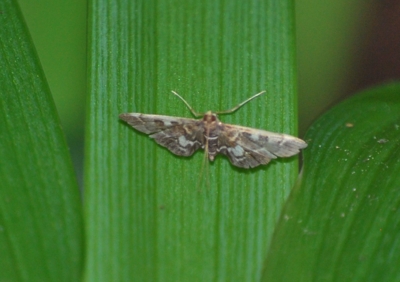 f:id:shinsyu7:20110804175134j:image:w640