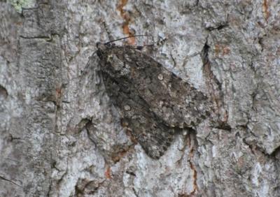 f:id:shinsyu7:20110805111200j:image:w640