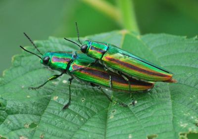 f:id:shinsyu7:20110807125940j:image:w640