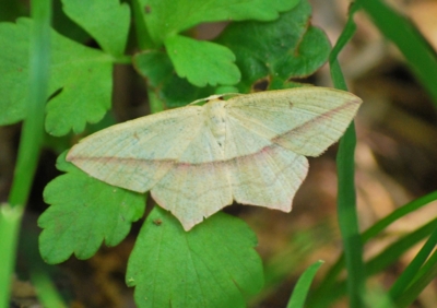 f:id:shinsyu7:20110817120707j:image:w640