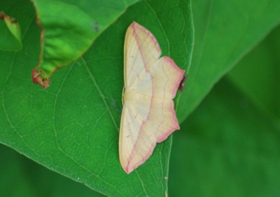 f:id:shinsyu7:20110817120749j:image:w640