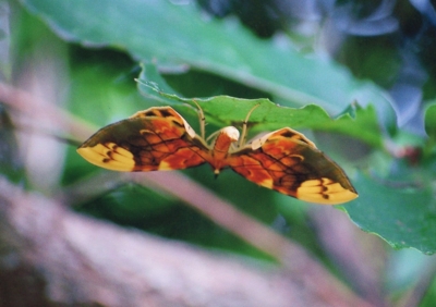 f:id:shinsyu7:20110818102837j:image:w640