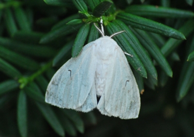 f:id:shinsyu7:20110818103445j:image:w640