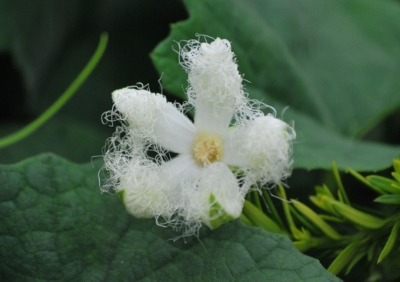 f:id:shinsyu7:20110822173252j:image:w640