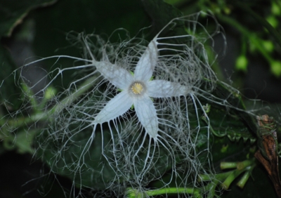 f:id:shinsyu7:20110822173256j:image:w640