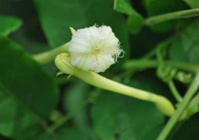 f:id:shinsyu7:20110822173306j:image:w640