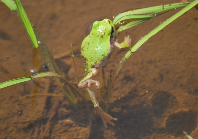 f:id:shinsyu7:20110822173459j:image:w640