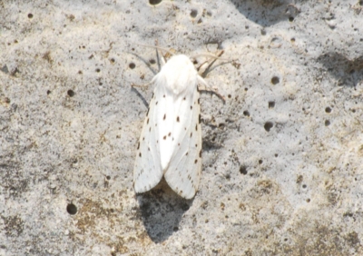 f:id:shinsyu7:20110825172718j:image:w640