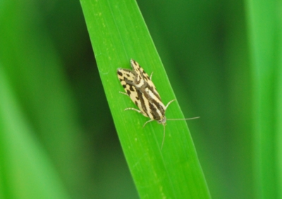 f:id:shinsyu7:20110827134405j:image:w640