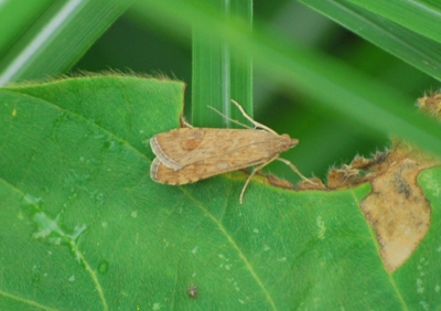 f:id:shinsyu7:20110827134605j:image:w640