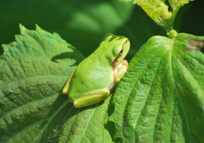 f:id:shinsyu7:20110905130148j:image:w640