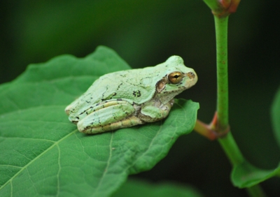 f:id:shinsyu7:20110905130955j:image:w640