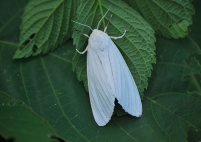 f:id:shinsyu7:20110908155221j:image:w640