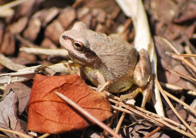 f:id:shinsyu7:20110915181441j:image:w640