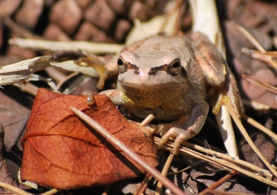 f:id:shinsyu7:20110915181443j:image:w640