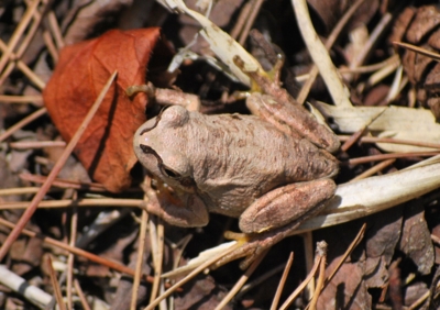 f:id:shinsyu7:20110915181518j:image:w640