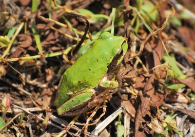 f:id:shinsyu7:20110915181938j:image:w640