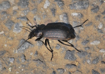 f:id:shinsyu7:20110916092719j:image:w640