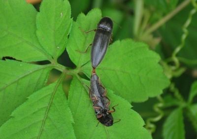 f:id:shinsyu7:20110916092721j:image:w640