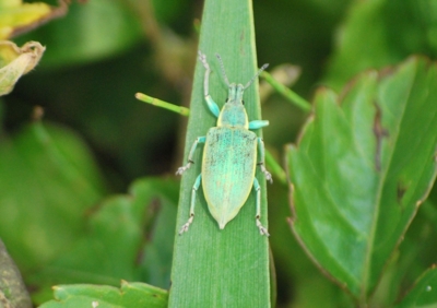 f:id:shinsyu7:20110916094449j:image:w640