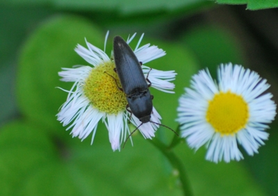 f:id:shinsyu7:20110916094747j:image:w640