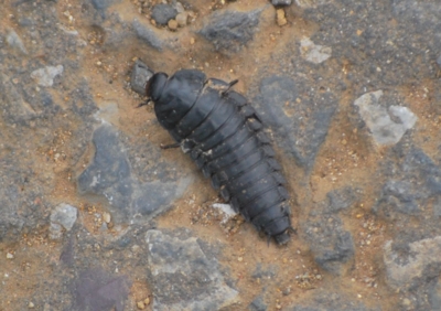 f:id:shinsyu7:20110916095027j:image:w640