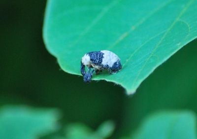 f:id:shinsyu7:20110916095251j:image:w640