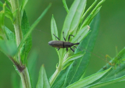 f:id:shinsyu7:20110916095654j:image:w640