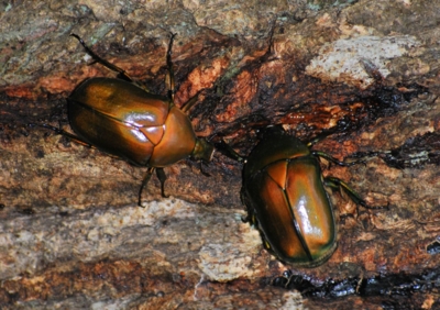 f:id:shinsyu7:20110916095910j:image:w640