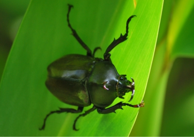 f:id:shinsyu7:20110916100342j:image:w640