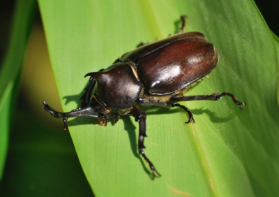 f:id:shinsyu7:20110916100349j:image:w640