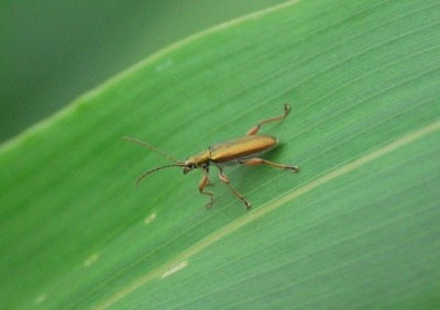 f:id:shinsyu7:20110916100651j:image:w640