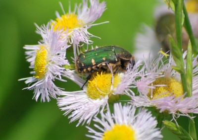 f:id:shinsyu7:20110916101147j:image:w640