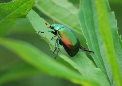 f:id:shinsyu7:20110916102657j:image:w640