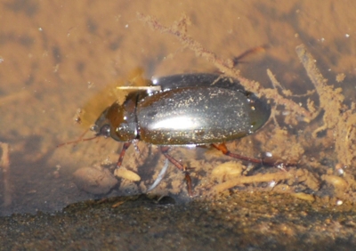 f:id:shinsyu7:20110916102843j:image:w640