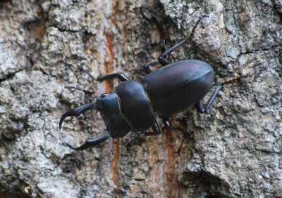 f:id:shinsyu7:20110916103041j:image:w640