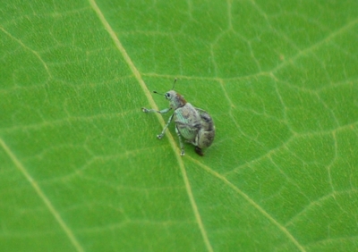 f:id:shinsyu7:20110916103326j:image:w640