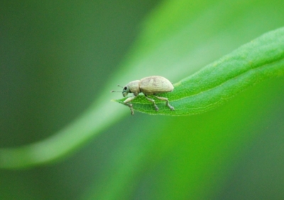 f:id:shinsyu7:20110916103327j:image:w640