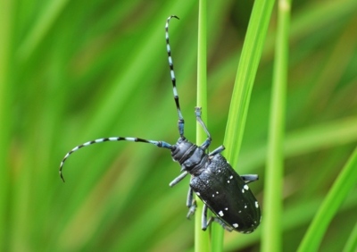 f:id:shinsyu7:20110916103830j:image:w640