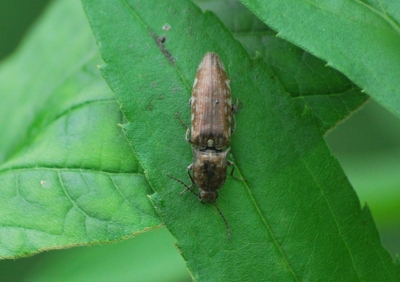 f:id:shinsyu7:20110916104030j:image:w640