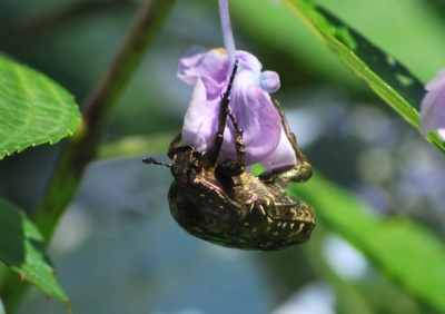 f:id:shinsyu7:20110916104312j:image:w640