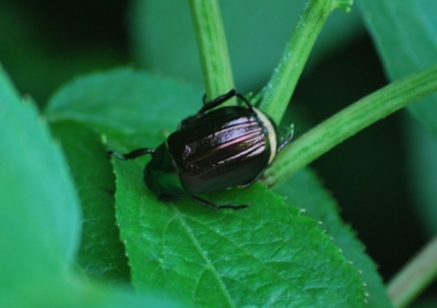 f:id:shinsyu7:20110916104537j:image:w640