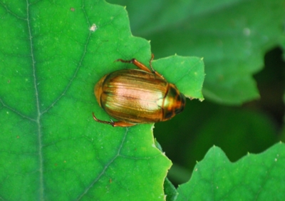 f:id:shinsyu7:20110916104749j:image:w640