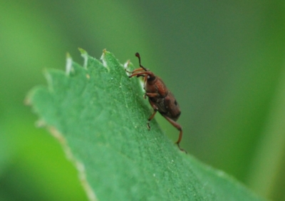 f:id:shinsyu7:20110916105016j:image:w640