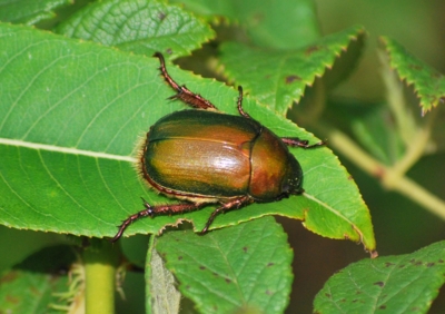 f:id:shinsyu7:20110916105303j:image:w640