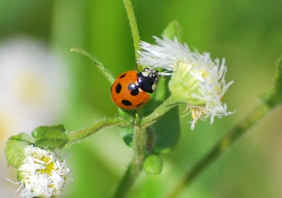 f:id:shinsyu7:20110916105704j:image:w640