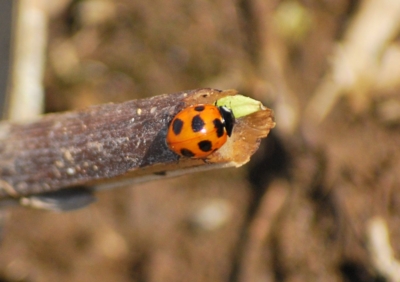 f:id:shinsyu7:20110916105705j:image:w640