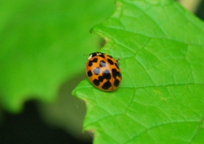 f:id:shinsyu7:20110916110059j:image:w640