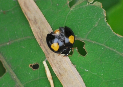 f:id:shinsyu7:20110916110105j:image:w640